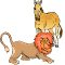lion-ane-chassant
