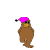 El oso con la gorra es el más pequeño.
