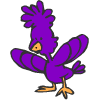 a purple bird
