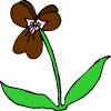 ένα καφέ λουλούδι