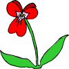 ένα κόκκινο λουλούδι