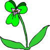 yeşil bir çiçek