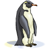 Πιγκουίνος