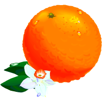πορτοκάλι