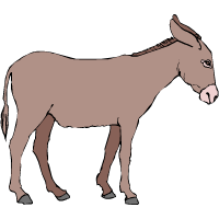 mulo
