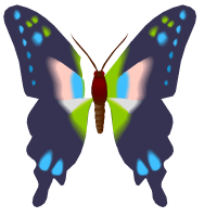 πεταλούδα