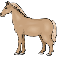 סוס