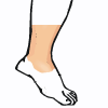 caviglia