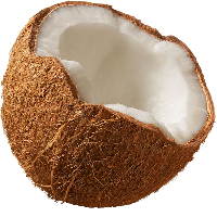 नारियल