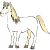 a white horse