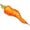 carrot