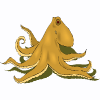 oktopus