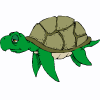 χελώνα