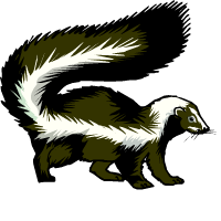 skunkss